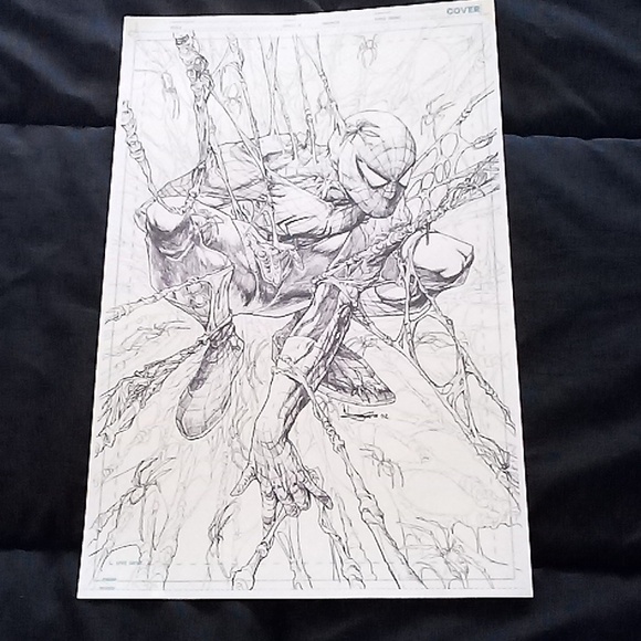 Amazing Spider-Man wall art - Picture 1 of 6